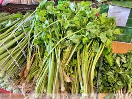 Image result for Sellerie