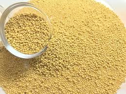 Attēlu rezultāti vaicājumam “Sinapis alba”