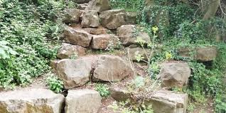 Image result for Ashcombe Bowls Club