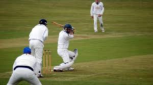 Image result for Austerlands Cc