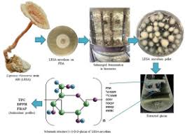 Attēlu rezultāti vaicājumam “Diderma tigrinum macro”