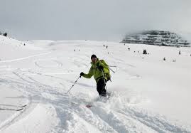 Image result for Tyneside Loipers