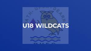 Image result for Wath Upon Dearne Rugby Union Football Club