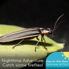 Image result for Fareham Fireflys Yc