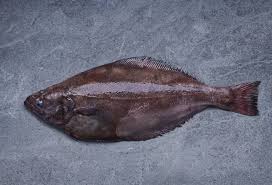 Image result for Reinhardtius hippoglossoides