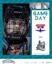 Image result for Milton Keynes Thunder