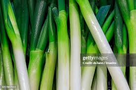 Résultat de recherche d'images pour "Allium fistulosum"