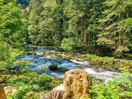 Image result for vallorbe tehron