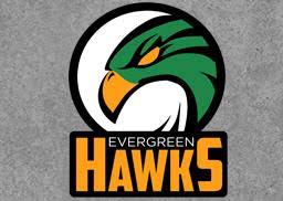 Image result for Evergreens Badminton Club