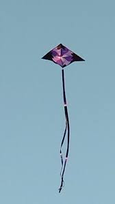 Image result for Kent Kite Flyers Club