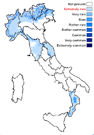 Attēlu rezultāti vaicājumam “Stemonitopsis hyperopta var. landewaldii macro”