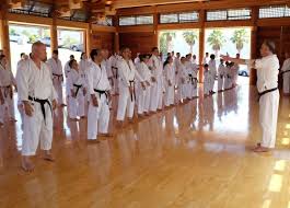Image result for Eurokwai Shotokan Karate Club