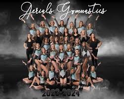 Image result for Asymmetrix Gymnastics Club