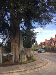 Image result for Staplehurst Cc