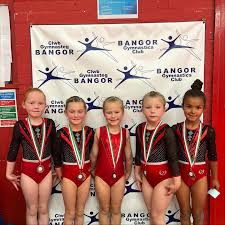 Image result for St Helens Centre For Gymnastics Club