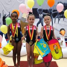 Image result for Redcar School Of Gymnastics