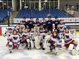 Image result for New Milton Hockey Club