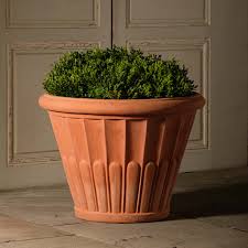 Attēlu rezultāti vaicājumam “Pottiales”