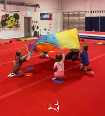 Image result for Newport Gymnastics Club