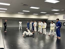 Image result for Alpha Judo Club