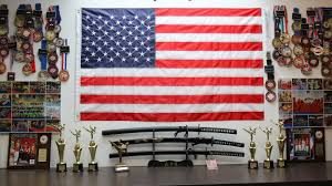 Image result for United Dojos Kickboxing