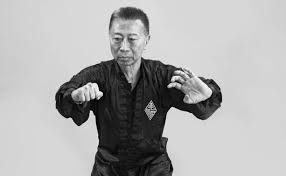 Image result for Hung Kuen School Of Shaolin Kung Fu