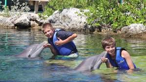 Image result for Dolphins Sheltered & Disabled Swim Club