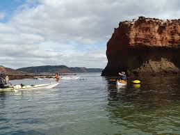 Image result for Poole Harbour Canoe Club