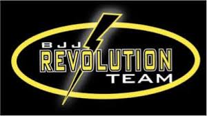 Image result for Revolution Dojo