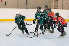 Image result for Glasgow Vipers Roller Hockey Club