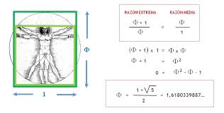 Image result for numero aureo