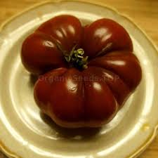 Afbeeldingsresultaat voor 1884 purple tomato