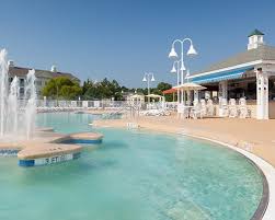 Image result for Harbour Lights Snorkelling Club (HLSC)