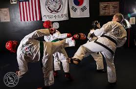 Image result for Martial Arts Karate Mesa AZ