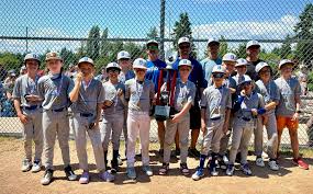 Image result for Elmbridge Girls` Little League