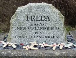 Image result for Cannock Cc