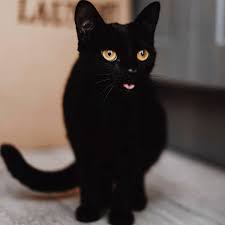 Image result for Приметы