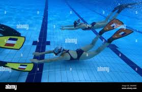 Image result for Tonbridge Octopush Club