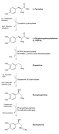 Epinephrine - Wikipedia, the free encyclopedia