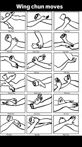 Image result for Kamon Wing Chun