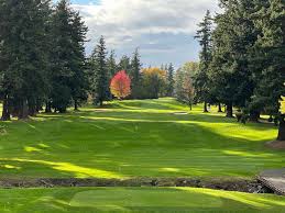 Image result for Bellingham Golf Club