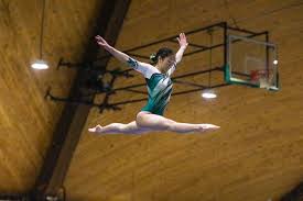 Image result for Thornton Sport Gymnastics