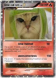 Image result for limecat