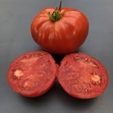 Afbeeldingsresultaat voor stump of the world tomato