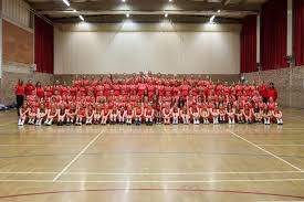 Image result for Ipswich Ladies Netball Club