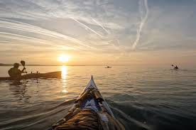 Image result for Seren Dwr