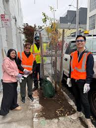 Image result for Stone Cc, Staff