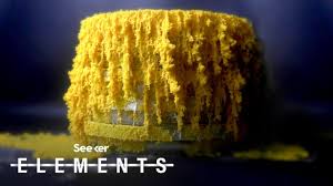 Attēlu rezultāti vaicājumam “Physarum cf. diderma sessile”