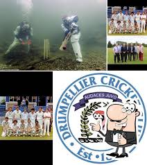 Image result for Drumpellier Cricket Club