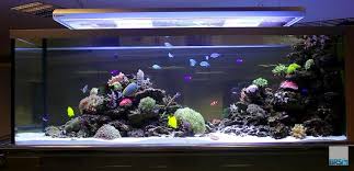 Image result for Peninsula Sub Aqua